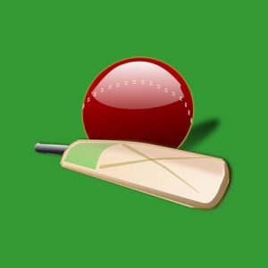 Cricket Bat and Ball