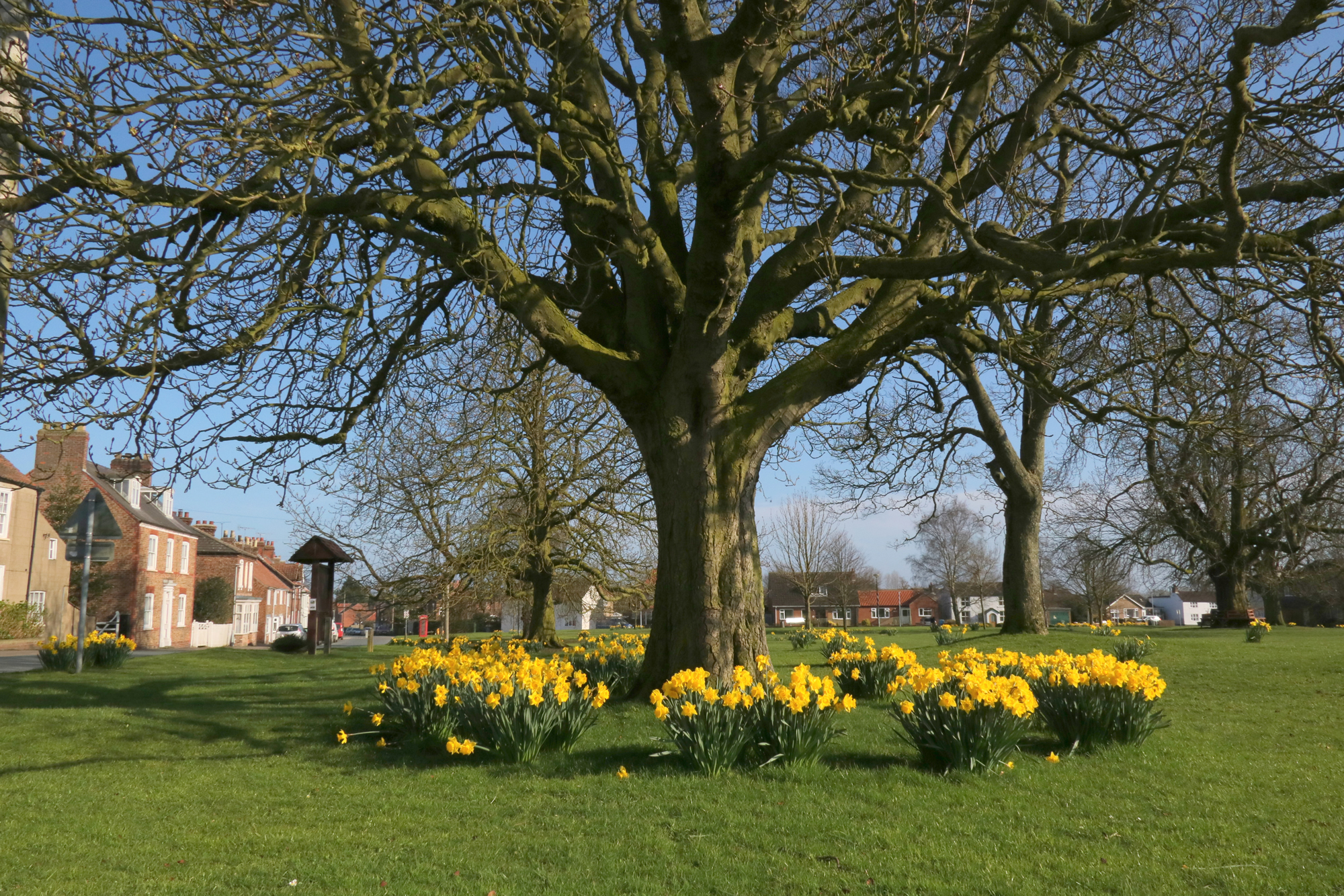 Hutton Cranswick Village Green